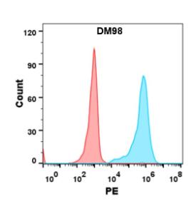 Antibody A318607-500