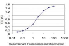 Anti-HOXB7 Mouse Monoclonal Antibody [clone: 4A3]