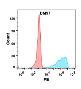 Flow cytometry analysis with Anti-ICOS Ligand/ICOSL Antibody [DM97] - Azide free (A318608) on Expi293 cells transfected with human B7-H2 (blue histogram) or Expi293 transfected with irrelevant protein (red histogram)