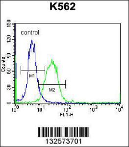 Anti-DOC2A Rabbit Polyclonal Antibody (APC (Allophycocyanin))