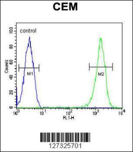 Anti-RCN3 Rabbit Polyclonal Antibody (FITC (Fluorescein Isothiocyanate))