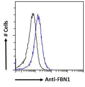 Anti-FBN1 Antibody (A84725) Flow cytometric analysis of paraformaldehyde fixed Jurkat cells (blue line), permeabilized with 0.5% Triton