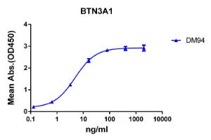 ELISA plate pre-coated by 2 µg/ml (100 µl/well) Recombinant Human BTN3A1 Protein (Fc Chimera 6xHis Tag) (A318356) can bind Anti-BTN3A1 Antibody [DM94] - Azide free (A318611) in a linear range of 0.64-80 µg/ml