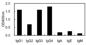 Anti-IgG Mouse Monoclonal Antibody [clone: KT47]