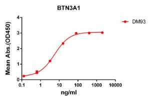 ELISA plate pre-coated by 2 µg/ml (100 µl/well) Recombinant Human BTN3A1 Protein (Fc Chimera 6xhis tag) (A318356) can bind Anti-BTN3A1 Antibody [DM93] - Azide free (A318612) in a linear range of 0.64-80 µg/ml