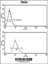 Anti-PCAT1 Rabbit Polyclonal Antibody