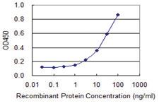 Anti-BMPR2 Mouse Monoclonal Antibody [clone: 4G7]