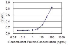 Anti-EIF2S3 Mouse Monoclonal Antibody [clone: 2C9]