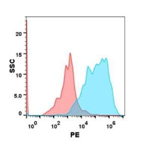 Flow cytometry analysis with Anti-GPCR GPRC5D Antibody [DM91] (PE) - Azide free (A318613) on Anti-GPCR GPRC5D Antibody [DM91] (PE) - Azide free (A318613) on Expi293 cells transfected with Human GPRC5D protein (blue histogram) or Expi293 transfected with irrelevant protein (red histogram)