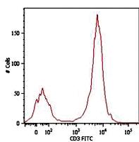 Anti-CD3E Mouse Monoclonal Antibody [clone: MEM-57]