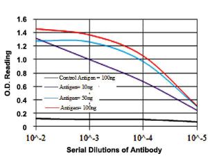 Anti-DLK1 Mouse Monoclonal Antibody [clone: 3A10]