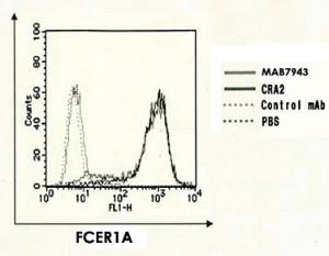 Anti-FCER1A Mouse Monoclonal Antibody [clone: CRA1]