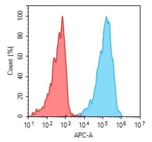 Human GPRC5D antibody