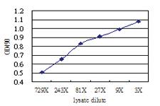 Anti-BLNK Antibody Pair