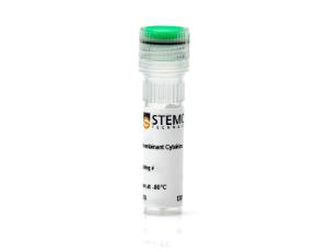 Human recombinant Heregulin-beta 1