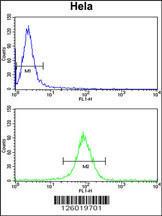 Anti-NAA50 Rabbit Polyclonal Antibody (FITC (Fluorescein Isothiocyanate))