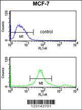 Anti-SUMO1 Rabbit Polyclonal Antibody (AP (Alkaline Phosphatase))