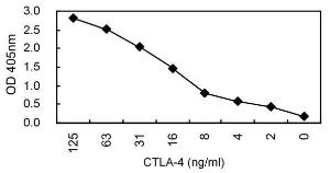 Sandwich ELISA using KT56 coated plate and HRP conjugated KT50