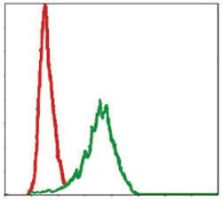 Anti-DLK1 Mouse Monoclonal Antibody [clone: 3A10]