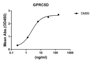 ELISA plate pre-coated by 2 µg/ml (100 µl/well) Recombinant Human GPCR GPRC5D Protein (Fc Chimera 6xHis Tag) (A318347) can bind Anti-GPCR GPRC5D Antibody [DM89] - Azide free (A318617) in a linear range of 0.256-32 µg/ml