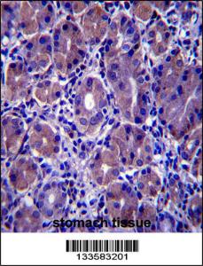 Anti-GSG1L Rabbit Polyclonal Antibody (APC (Allophycocyanin))