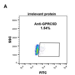 Expi 293 cell line transfected with irrelevant protein (A) and human GPRC5D (B) were surface stained with Anti-GPCR GPRC5D Antibody [DM89] - Azide free (A318617) at 1 µg/ml followed by Anti-Rabbit IgG Antibody (Alexa 488)