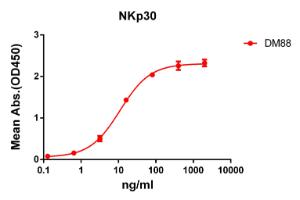 Anti-NKp30 antibody