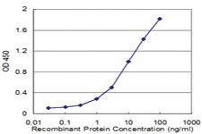 Anti-ACTL6A Mouse Monoclonal Antibody [clone: 3C4]