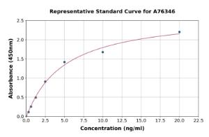 Representative standard curve for Rat Collagen I alpha 1 ELISA kit (A76346)