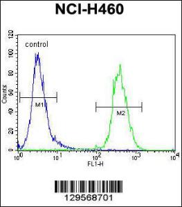 Anti-TECRL Rabbit Polyclonal Antibody (AP (Alkaline Phosphatase))