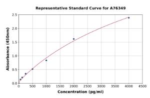 Representative standard curve for Mouse Collagen II ELISA kit (A76349)