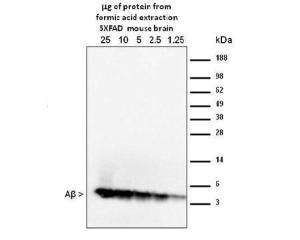 Anti-Amyloid beta-peptide Mouse Monoclonal Antibody [clone: MOAB-2]