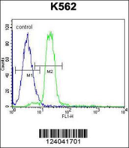 Anti-HBA2 Rabbit Polyclonal Antibody (HRP (Horseradish Peroxidase))