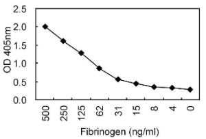 Sandwich ELISA using KT9 coated plate and HRP conjugated KT10