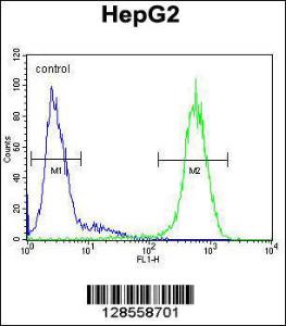 Anti-ICAM2 Rabbit Polyclonal Antibody