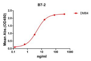 ELISA plate pre-coated by 2 µg/ml (100 µl/well) Recombinant Human CD86 Protein (Fc Chimera 6xHis Tag) (A318374) can bind Anti-CD86 Antibody [DM84] - Azide free (A318623) in a linear range of 1-100 µg/ml