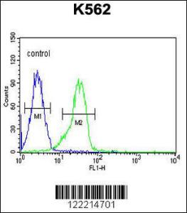 Anti-FAM155A Rabbit Polyclonal Antibody (FITC (Fluorescein Isothiocyanate))