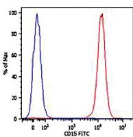 Anti-FUT4 Mouse Monoclonal Antibody [clone: MEM-158]