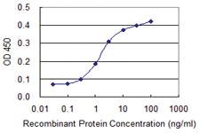 Anti-EIF4EBP1 Mouse Monoclonal Antibody [clone: 4F3-H2]