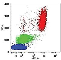 Anti-FCGR3B Mouse Monoclonal Antibody [clone: MEM-154]