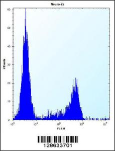 Anti-CASC4 Rabbit Polyclonal Antibody (AP (Alkaline Phosphatase))