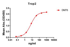 ELISA plate pre-coated by 2 µg/ml (100 µl/well) Recombinant Human TROP2 Protein (Fc Chimera 6xHis Tag) (A318234) can bind Anti-TROP2 Antibody [DM76] - Azide free (A318628) in a linear range of 1-100 µg/ml