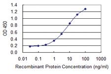 Anti-ANKRD37 Mouse Monoclonal Antibody [clone: 6E8]