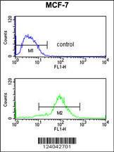 Anti-MOB2 Rabbit Polyclonal Antibody (AP (Alkaline Phosphatase))