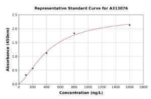 Representative standard curve for Human Arc ELISA kit (A313076)