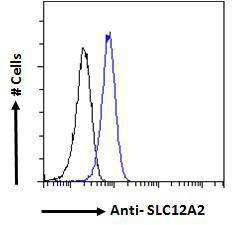 Anti-SLC12A2 Antibody (A84750) - Flow cytometric analysis of paraformaldehyde fixed HeLa cells (blue line), permeabilized with 0.5% Triton. Primary incubation 1hr (10µg/ml) followed by Alexa Fluor 488 secondary antibody (1µg/ml).