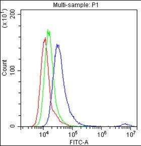 Anti-Emmprin Polyclonal Antibody