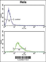 Anti-GPX1 Rabbit Polyclonal Antibody