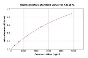 Representative standard curve for Human Caspase-7 ELISA kit (A311571)