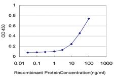 Anti-EIF5 Mouse Monoclonal Antibody [clone: 2E6-4C12]